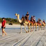Tour group riding camels along a scenic sandy beach beneath a vibrant blue sky on a Perth to Darwin trip, Broome stay not included.