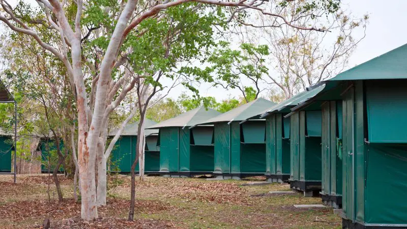 Green canvas tents nestled in a lush, leafy campsite—Darwin to Perth Adventure Package with scenic Broome accommodation included.