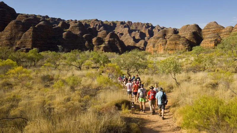 Hikers traverse the Darwin to Perth Adventure Combo trail, passing iconic beehive-shaped mounds and lush, rocky hills in Australia.