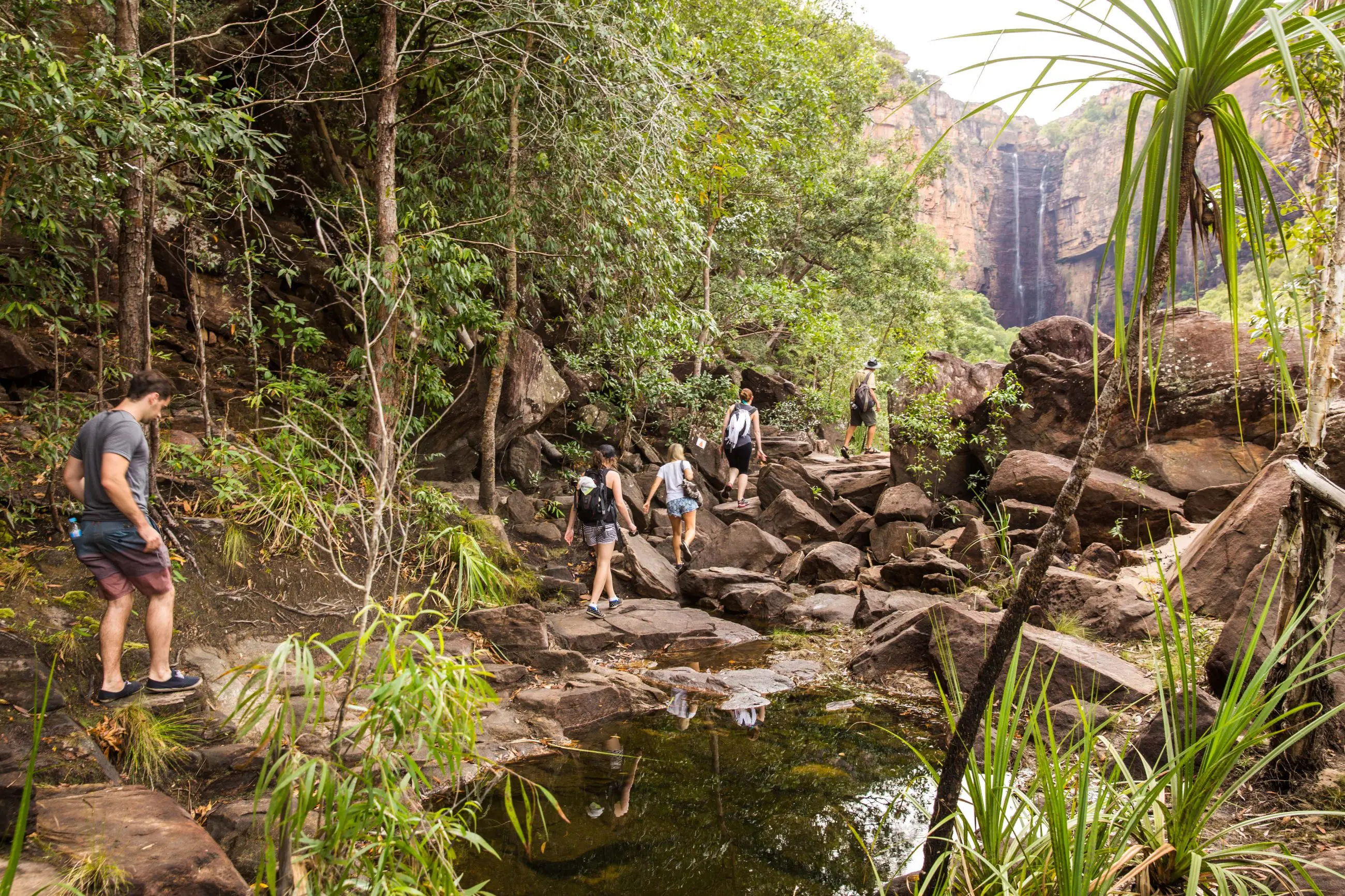 Adventurers trek vibrant rainforests and rugged paths during the 5-Day Kakadu, Arnhem Land, Katherine & Litchfield guided tour.