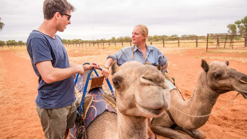 A couple with camels gets ready for a scenic ride beneath dramatic clouds on a 3 Day Uluru Adventure from Alice Springs.
