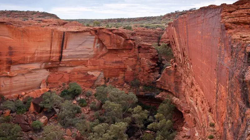Towering red sandstone canyon cliffs rise above lush green shrubs under cloudy skies on an unforgettable Uluru Red Centre adventure.