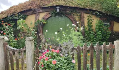 A vibrant green garden door surrounded by lush foliage, embodying the full charm and beauty of nature’s serene sanctuary.