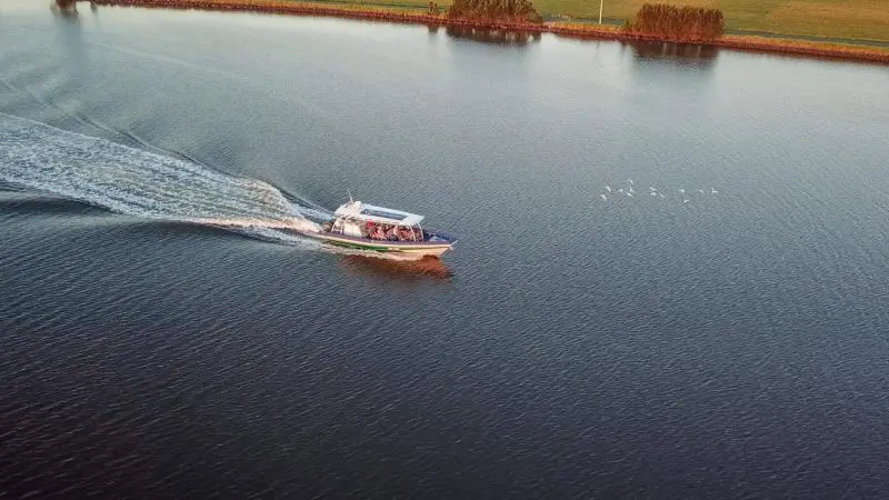 Passengers enjoy a scenic river cruise gliding on calm waters, leaving a gentle wake near lush green shores and graceful flying birds.