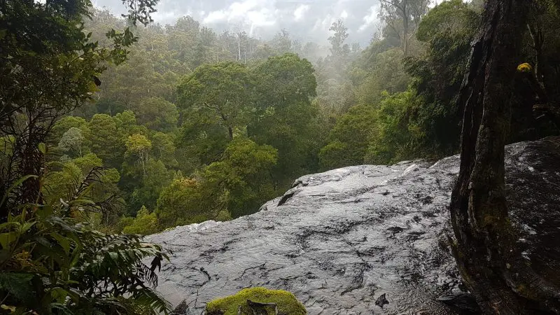 Lush, mist-shrouded forest and moss-covered waterfall seen on a 2 Day Cradle Mountain Tour from Hobart with Wild Tasmania Tours.
