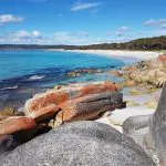 Experience Tasmania’s untamed coastline—orange lichen-covered rocks, pristine blue waters—on a 4 Day Wilderness Loop Tour.