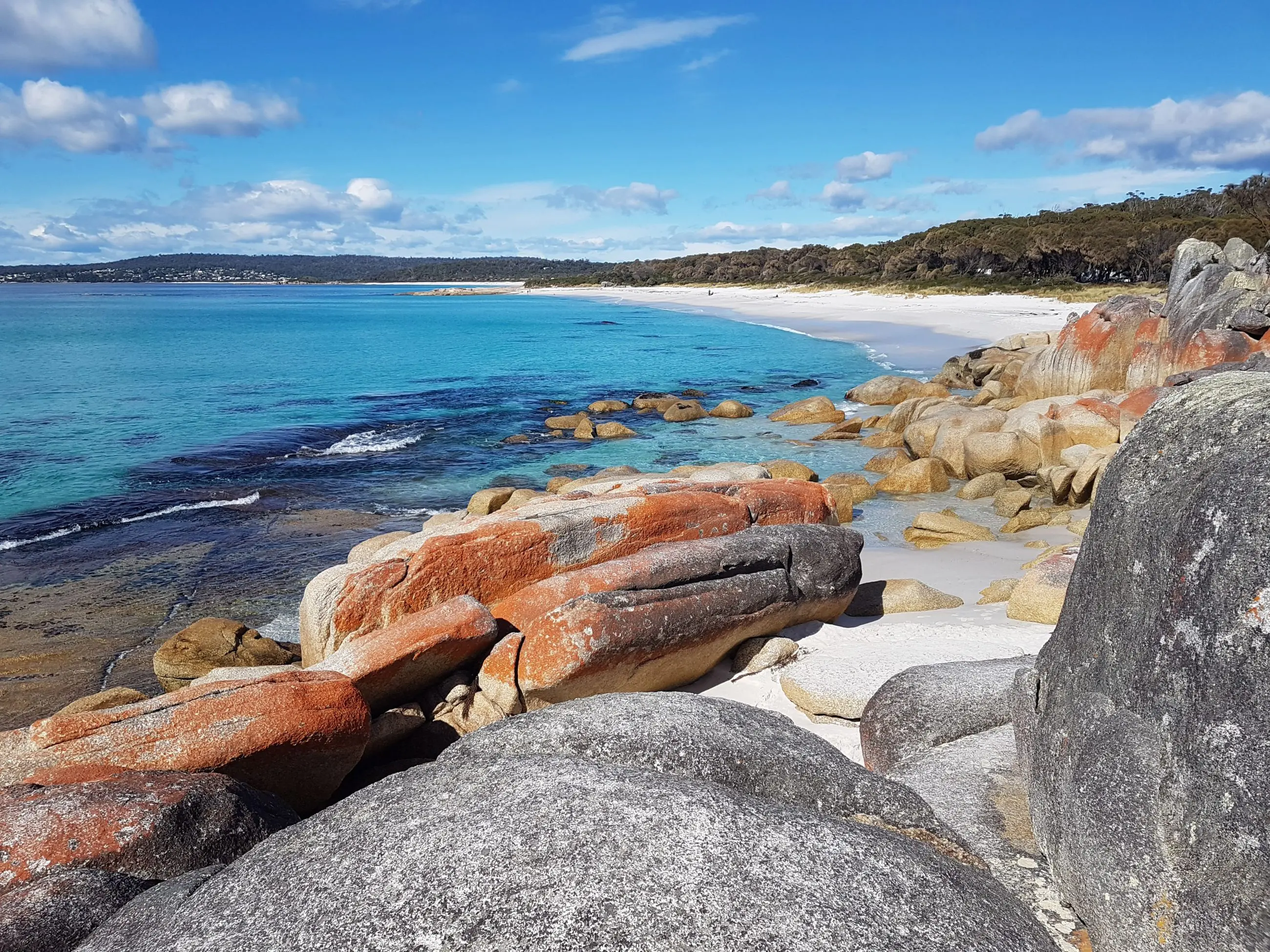 Experience Tasmania’s untamed coastline—orange lichen-covered rocks, pristine blue waters—on a 4 Day Wilderness Loop Tour.