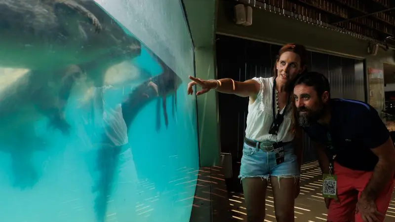 A woman points at an otter swimming in a spacious aquarium, whilst a Croc N History Explorer beside her observes the animal intently.