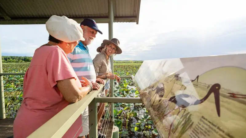 Three travellers read a detailed info sign on a sunlit boardwalk during a 4 Day Kakadu Katherine Gorge Experience from Darwin, Australia.