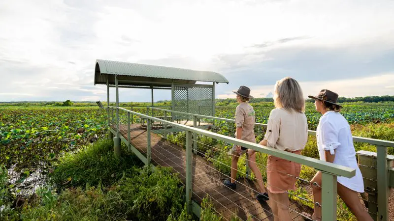 Three travellers explore a scenic boardwalk on the 2 Day Kakadu Outback Retreat Tour from Darwin beneath a vivid, expansive wetland sky.