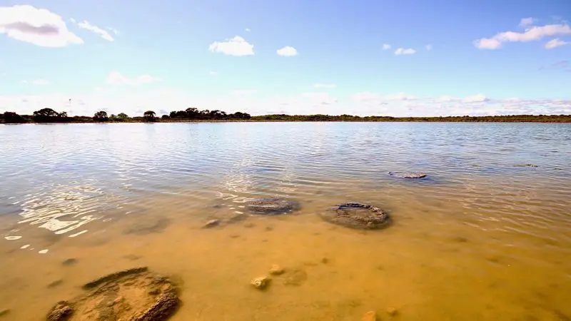 Crystal-clear shallow lake water reveals smooth round rocks below, sunlit on a Perth Pinnacles Lobster Lavender Day Tour.