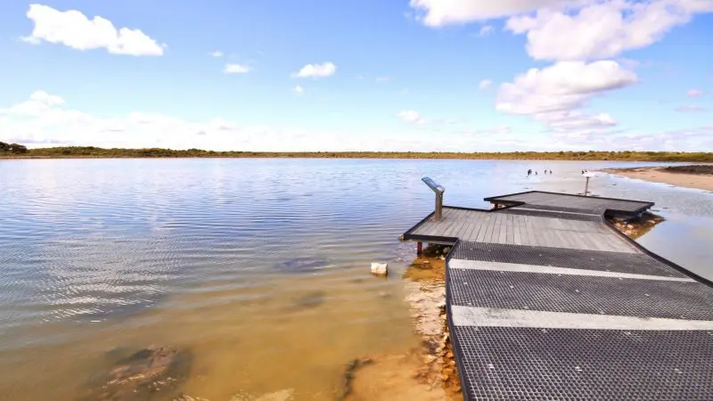 Experience a scenic zigzag metal boardwalk over a tranquil lake, ideal for the ultimate 1 Day Pinnacles Lobster Lavender Tour from Perth.
