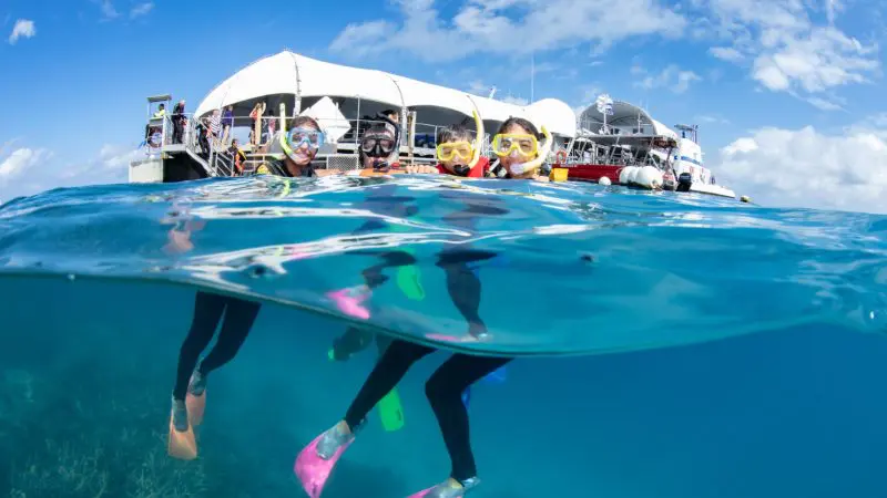 Three snorkellers with vibrant fins swim beside a white boat at the Great Barrier Reef Activity Platform in crystal-clear blue waters.