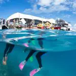 Snorkellers explore crystal-clear blue waters beside the Green Island Outer Barrier Reef Activity Platform under a bright, sunny sky.