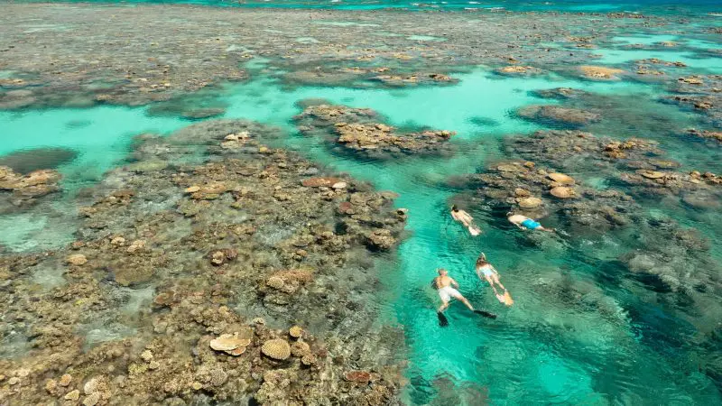 Three snorkellers explore colourful coral reefs under clear sunshine on the Silverswift Outer Barrier Reef Snorkel and Dive Cruise.