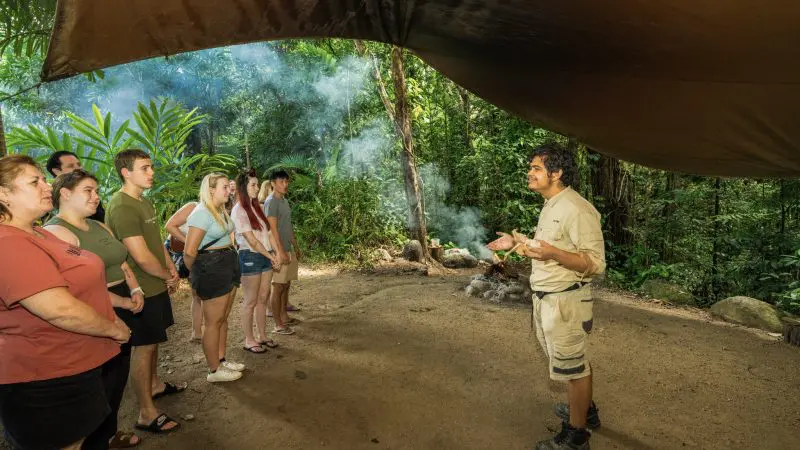Expert guide escorts guests on a Private Exclusive Daintree Mossman Tour beneath dense rainforest canopy in vibrant tropical paradise.