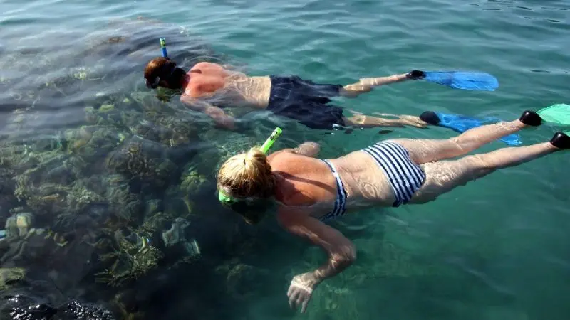 Snorkeling at whitsundays