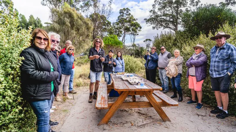 Visitors savour a gourmet picnic on Bruny Island during a top-rated Food Sightseeing and Cape Bruny Lighthouse tour experience.