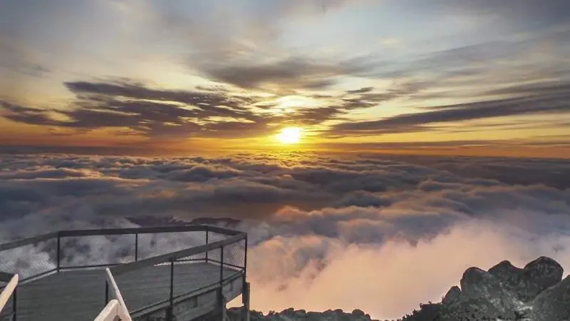 Scenic wooden viewing platform on Huon Valley Safaris Private Day Tour with panoramic sunrise views above a sea of morning clouds.