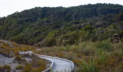 Scenic boardwalk winds through lush grassy dunes towards dense forested hills near Franz Josef, New Zealand, beneath an overcast sky.