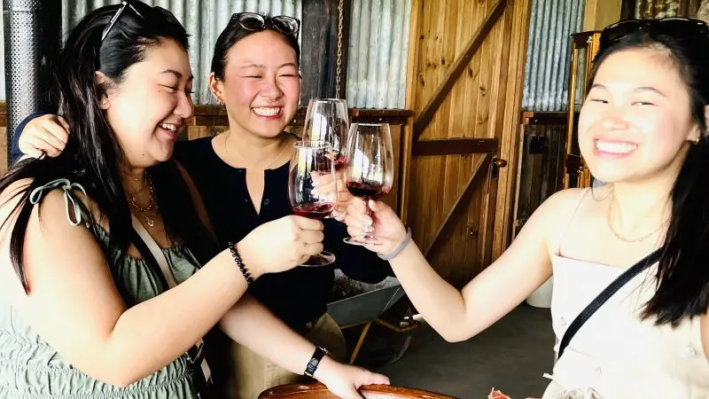 Three women enjoying a Yarra Valley winery tour, smiling and clinking wine glasses in a cosy, rustic indoor tasting room atmosphere.