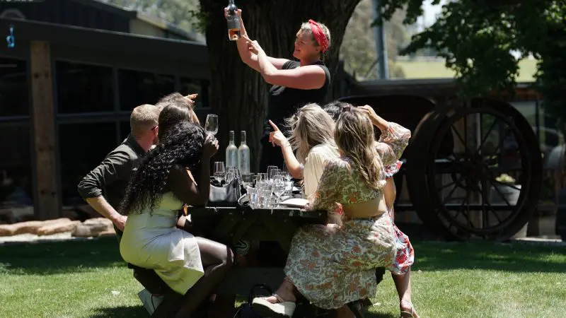 Group of friends cheer outdoors as a woman displays a wine bottle during a relaxed Yarra Valley winery tour, enjoying the scenic vineyard.