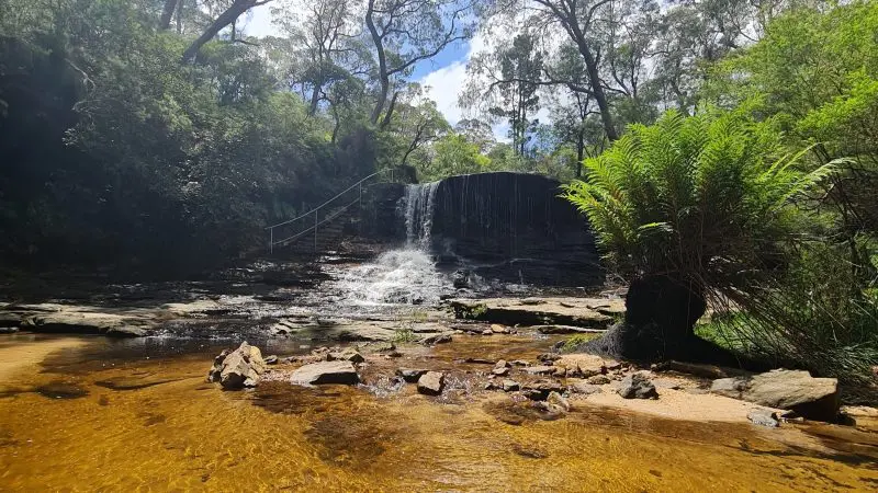 A stunning Blue Mountains waterfall cascades into a crystal-clear stream, framed by vibrant green rainforest on a guided Waterfall Walk tour.
