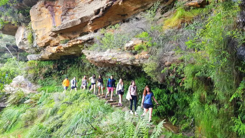 Adventure seekers ascend scenic stone steps under dramatic cliffs on a guided Blue Mountains Day Tour featuring waterfall walks and a sociable lunch.