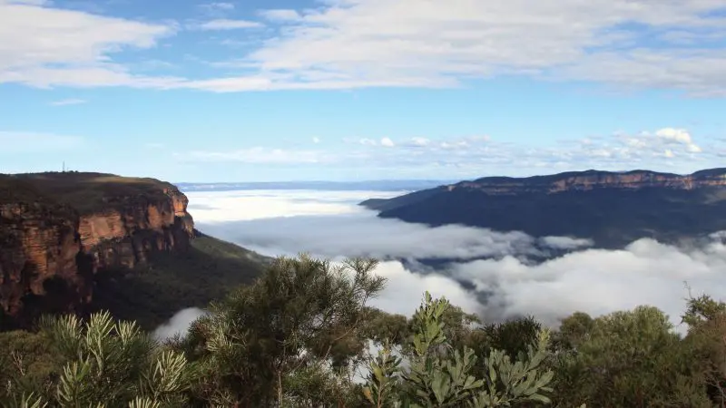 Discover breathtaking views of a lush green valley and misty sandstone cliffs on a 1 Day Blue Mountains Wildlife Park adventure.