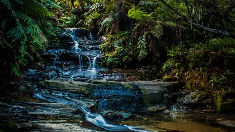 Scenic waterfall cascading over moss-covered rocks, surrounded by vibrant ferns—ideal stop for Explorer Bus Pass Hop On Hop Off tours.