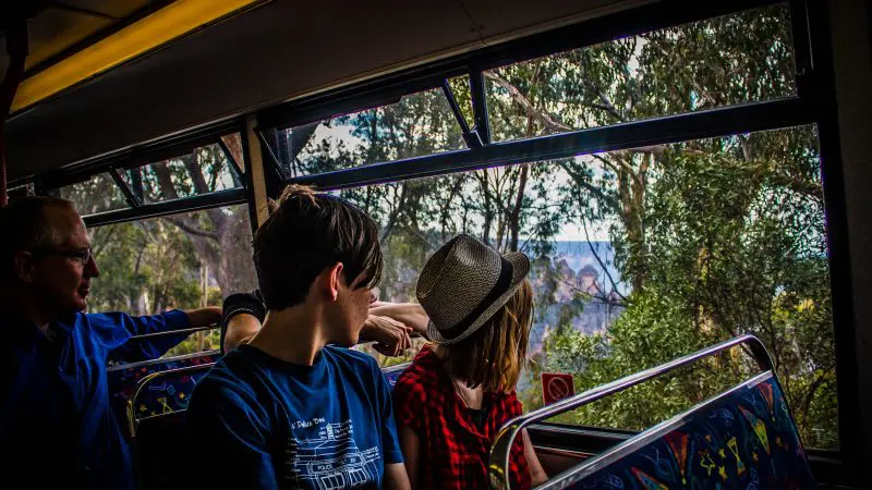 Three passengers enjoy scenic views of lush trees and landscapes from a Boomerang Pass One Hour Sightseeing Tour bus window.