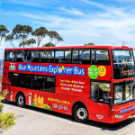 6672a11d34ce8_377_fatweb1-2