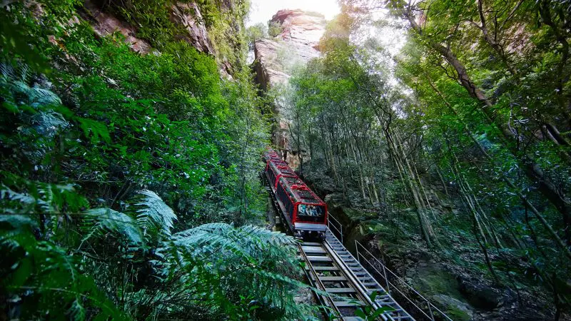 Red funicular train travels down Kookaburra Pass in lush rainforest, ideal for Hop On Hop Off Scenic World tours and Blue Mountains views.