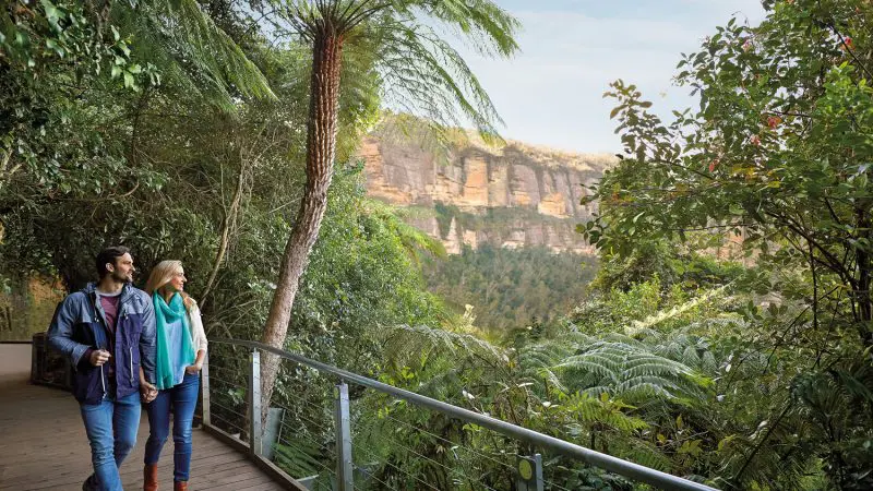 A couple walks along Kookaburra Pass boardwalk, surrounded by lush green forest and towering cliffs beneath a vibrant blue sky.