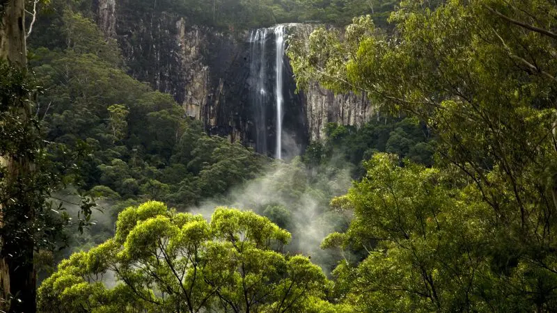 Breathtaking waterfall cascades through lush rainforest, highlighting Hinterland Magic Glow Worm Experience in misty green scenery.