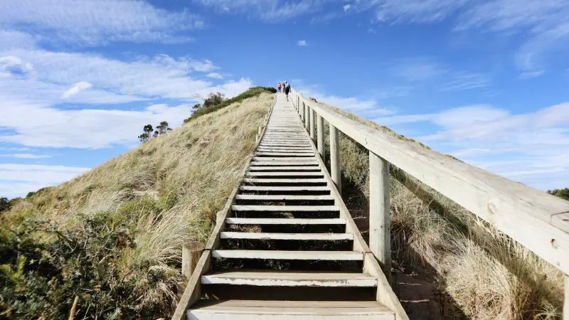 Scenic wooden staircase ascends a lush green hill beneath clear blue skies as visitors enjoy Tassie Tours’ Bruny Island Day Tour.