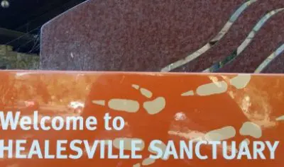 66bad67423086_1283_20e0bb5b255e4caa8c1447f82cc3ac8chealesville1lg