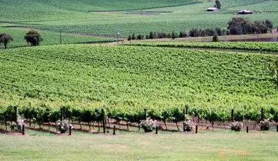 66bad83e61be0_1283_6848070512fd434488839bca82fe52e9yarra1