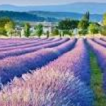 66bae046187a5_1283_hepburn