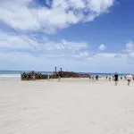 Visitors explore a scenic sandy beach, approaching a famous shipwreck on Fraser Island during the top-rated K'gari Safari 4WD tour.