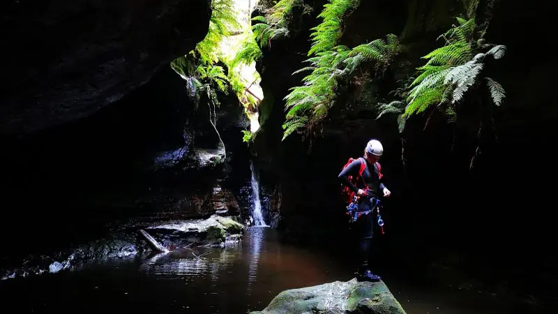 Adventurer atop a rock in verdant Twister and Rocky Creek Canyons, Blue Mountains—experience an epic double canyoning journey.