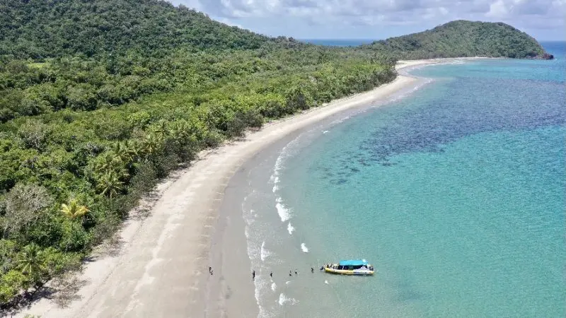 Eco adventure boat anchored by a pristine sandy beach on the Great Barrier Reef, with lush forest and crystal-clear turquoise waters.