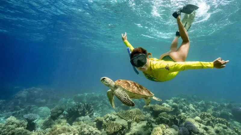 Snorkeller in yellow shirt explores vibrant coral reef with sea turtle during Great Barrier Reef Eco Adventure tour.