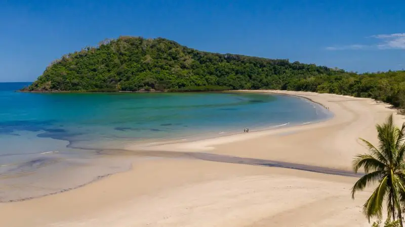 Pristine sandy beach with crystal-clear blue water, tropical palm, and lush green hills on a Cape Tribulation Guided Day Tour.