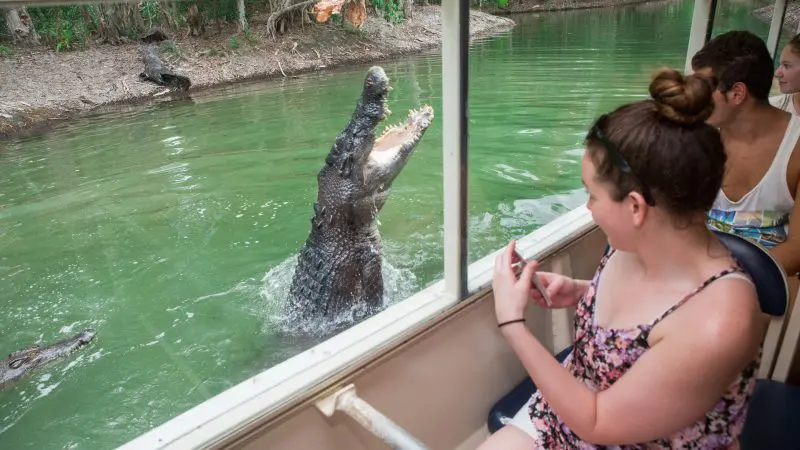A massive crocodile jumps from the water beside a Hartleys Crocodile Adventures tour boat as amazed tourists take photos up close.