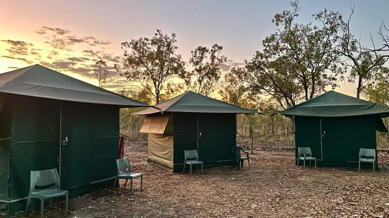 Experience Kakadu Tour Highlights 2 at sunset: three green tents and camping chairs nestled in a tranquil, scenic woodland setting.