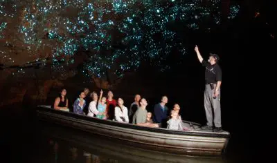 A group on the Grand Kiwi Experience tours a glow-worm-lit cave, amazed by vivid blue lights overhead as an expert guide leads the way.