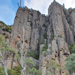 67399de0db4f0_8935_organ-pipes-for-rezdy-1-1