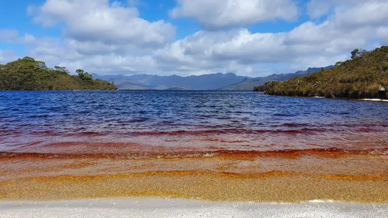 Discover Lake Pedder’s striking red and blue waters, white sandy shores, and dramatic mountains on a Gordon Dam wilderness tour.