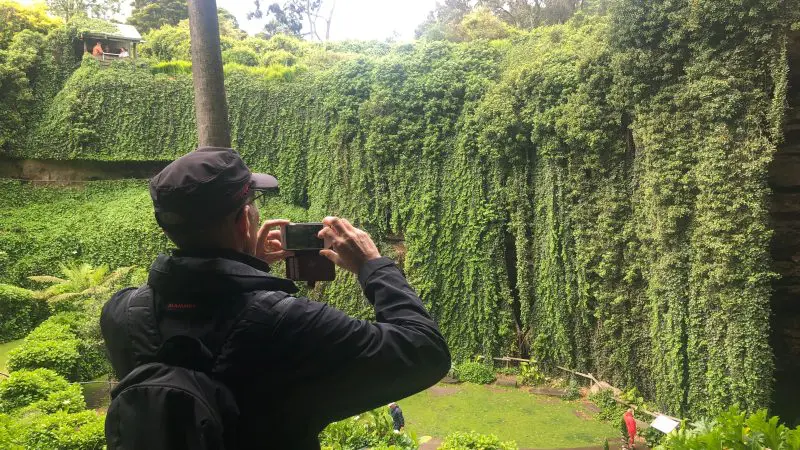 Traveller photographs dramatic, lush green cliffs covered in vines during the Great Ocean Road and Beyond 4-Day 3-Night Tour.